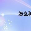 怎么種香菜（香菜種植技術）