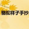 駱駝祥子手抄報原文（駱駝祥子手抄報內容）