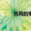 蘇芮的奉獻歌詞（歌曲奉獻歌詞）