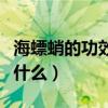 海螵蛸的功效與作用（海螵蛸的功效與作用是什么）