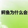 鱷魚為什么會流淚（鱷魚為什么會流淚解釋）