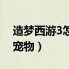 造夢西游3怎樣抓那個寵物（造夢西游3咋抓寵物）