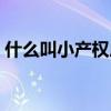 什么叫小產權房子（關于小產權房子的介紹）