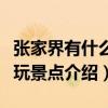 張家界有什么好玩的地方景點推薦（張家界好玩景點介紹）
