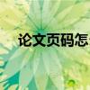 論文頁碼怎么設置（論文頁碼如何設置）
