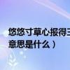 悠悠寸草心報得三春暉是什么意思（悠悠寸草心報得三春暉意思是什么）