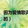 因為愛情歌詞男女分開（因為愛情歌詞是怎樣的）