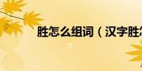 勝怎么組詞(漢字勝怎么組詞)