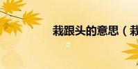 栽跟頭的意思(栽跟頭)