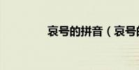 哀號的拼音(哀號的意思)
