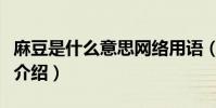 麻豆是什么意思網絡用語(網絡用語麻豆意思介紹)