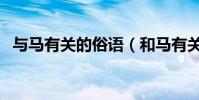 與馬有關的俗語(和馬有關的俗語有哪些)