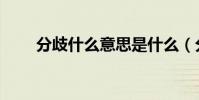 分歧什么意思是什么(分歧的理解)