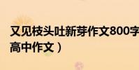 又見枝頭吐新芽作文800字(又見枝頭吐新芽高中作文)