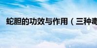 蛇膽的功效與作用(三種毒蛇膽主要特征)