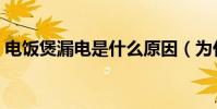 電飯煲漏電是什么原因(為什么電飯煲漏電)
