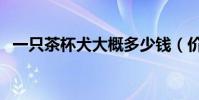 一只茶杯犬大概多少錢(價格有什么波動)