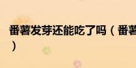 番薯發芽還能吃了嗎(番薯發芽還能不能吃了)