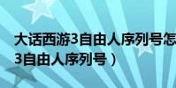 大話西游3自由人序列號怎么使用(大話西游3自由人序列號)