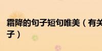 霜降的句子短句唯美(有關霜降的唯美祝福句子)