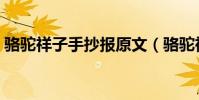 駱駝祥子手抄報原文(駱駝祥子手抄報內容)