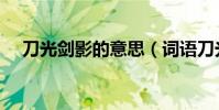 刀光劍影的意思(詞語刀光劍影的意思)