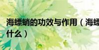 海螵蛸的功效與作用(海螵蛸的功效與作用是什么)