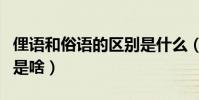 俚語和俗語的區別是什么(俚語和俗語的區別是啥)