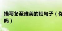 描寫冬至唯美的短句子(你能感受到那份情懷嗎)