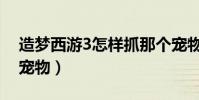 造夢西游3怎樣抓那個寵物(造夢西游3咋抓寵物)