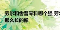 勞爾和舍普琴科哪個強 勞爾 舍普琴科為什么那么長的像