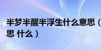 半夢半醒半浮生什么意思(半夢半醒半浮生意思 什么)