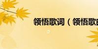 領悟歌詞(領悟歌曲介紹)