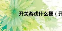 開關游戲什么梗(開關游戲)