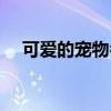可愛的寵物名字（可愛的寵物名字大全）