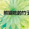 熊貓吃的竹子實際上是什么（怎么定義的）