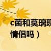 c菌和莫璃現在怎么了（c菌和莫璃真是一對情侶嗎）