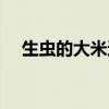 生蟲的大米還能吃嗎（沒發霉就能食用）