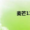 麥芒11發布會 麥芒11怎么樣 