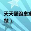 天天酷跑皇家獅鷲怎么獲得（天天酷跑皇家獅鷲）