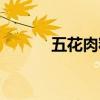 五花肉粽子視頻（五花肉粽子）