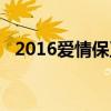 2016愛情保衛戰完整版全部（2016假期）