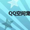 QQ空間寵物怎么領養（qq寵物領養）