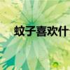 蚊子喜歡什么血型（蚊子喜歡咬什么人）