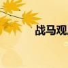 戰馬觀后感（戰馬觀后感分享）