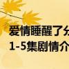 愛情睡醒了分集劇情介紹（電視劇愛情睡醒了1-5集劇情介紹）