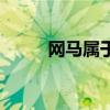 網馬屬于什么概念（網馬生成器）