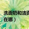 洗面奶和潔面乳有什么區別（二者的不同之處在哪）