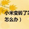 小米變磚了怎么解bl鎖（小米4變磚無法操作怎么辦）