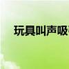 玩具叫聲吸引小狗（吸引小孩子的玩具）
